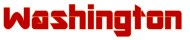 Washington made up logo
