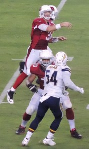 Carson_Palmer