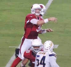 Carson_Palmer