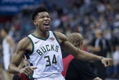 800px-giannis_antetokounmpo_282484500368729